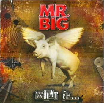LP/CD/DVD/Dobozkészlet Mr. Big: What If... DLX | DIGI
