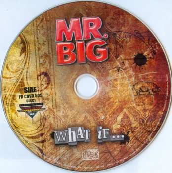 LP/CD/DVD/Dobozkészlet Mr. Big: What If... DLX | DIGI