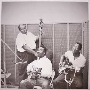 LP Muddy Waters: Folk Singer