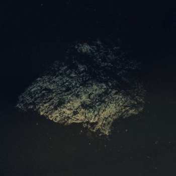 CD Multicast Dynamics: Lost World