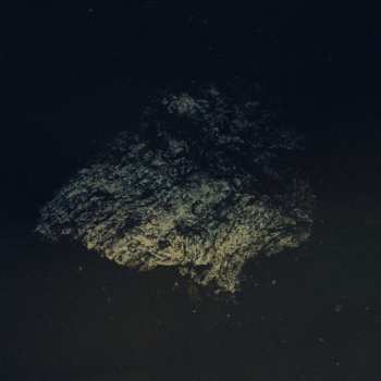 LP Multicast Dynamics: Lost World