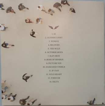 CD Mumford & Sons: Delta