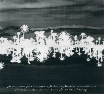 CD Muslimgauze: Mohammad Ali Jinnah LTD