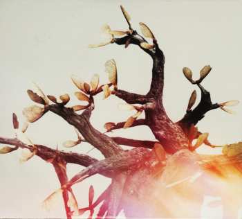 CD My Brightest Diamond: This Is My Hand