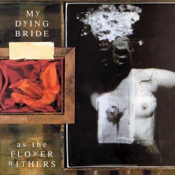 Album My Dying Bride: As The Flower Withers