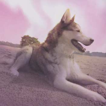 CD My Indigo: My Indigo