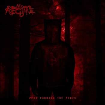 Album My Regime: Peek Through The Pines