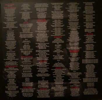 LP My Ruin: The Horror Of Beauty CLR | LTD