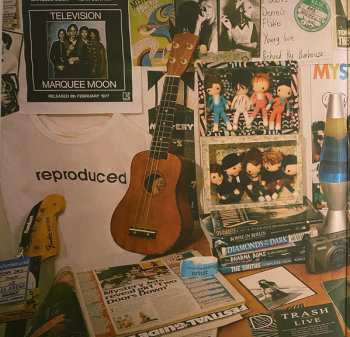 2LP Mystery Jets: Twenty One CLR | DLX | LTD