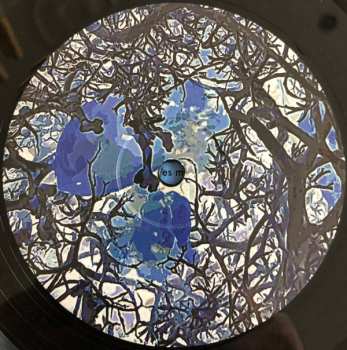 LP Mythopoeic Mind: Hatchling