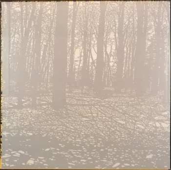 LP Nada Surf: The Stars Are Indifferent To Astronomy