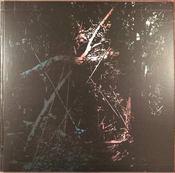 LP Nada Surf: The Stars Are Indifferent To Astronomy