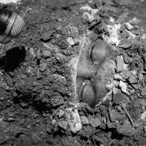 LP Nappynappa: ONDAMICUNDERDACOZMICLYTZ