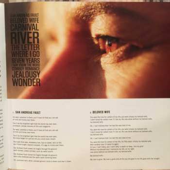 2LP Natalie Merchant: Paradise Is There (The New Tigerlily Recordings)