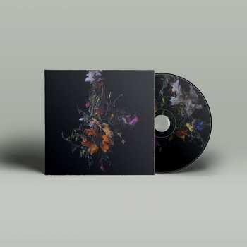 CD Big Brave: Nature Morte