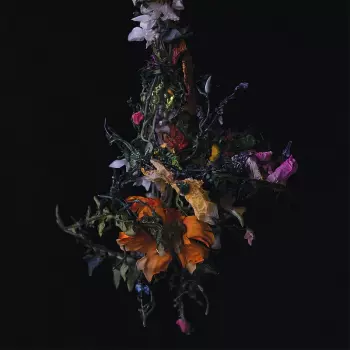 Big Brave: Nature Morte