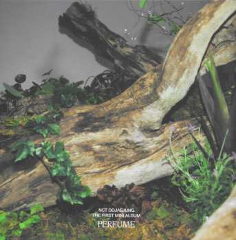 CD/Dobozkészlet NCT Dojaejung: Perfume