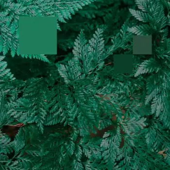 Nebraska: Metaphor To The Floor EP