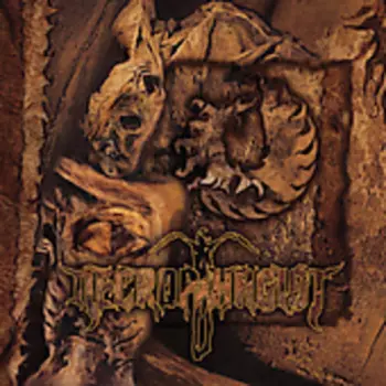 Onset Of Putrefaction