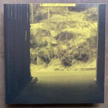 LP Nein Rodere: Catch Up With What Party + LTD