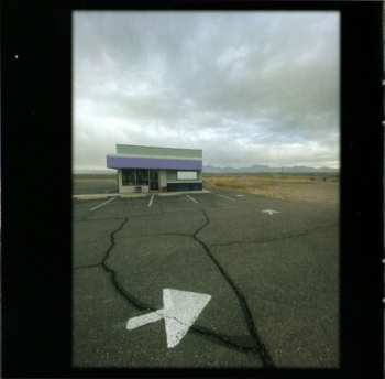 CD Neko Case: Neon Grey Midnight Green