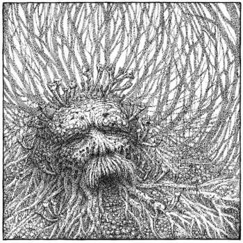 Album Nemorous: Nemorous