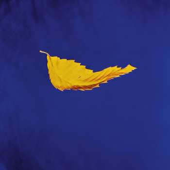 LP New Order: True Faith