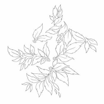 Album Nhor: Momenta Quintae Essentiae