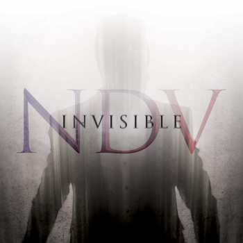 CD Nick D'Virgilio: Invisible