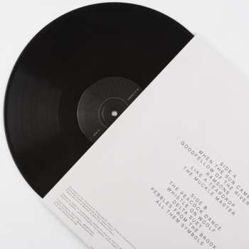 LP Nick Jonah Davis: When The Sun Came