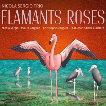 Flamants Roses