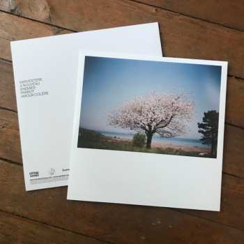 LP Nicolas Michaux: Amour Colère