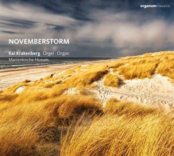 Album Nicolaus Bruhns: Die Johannes Klais-orgel Der Stadtkirche St.marien Husum - "novemberstorm"