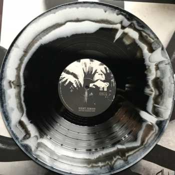 LP Night Verses: Into The Vanishing Light