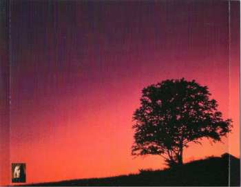 CD Nightwish: Angels Fall First