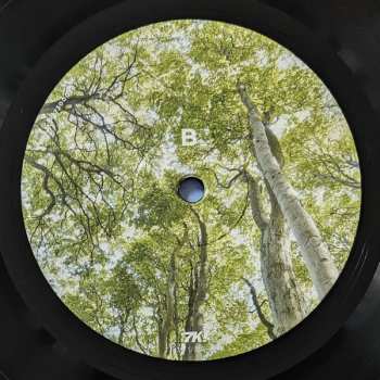LP Niklas Paschburg: Oceanic