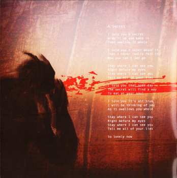 CD Nine Stones Close: One Eye On The Sunrise LTD