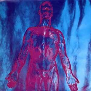 Album Nirvana: Sliver