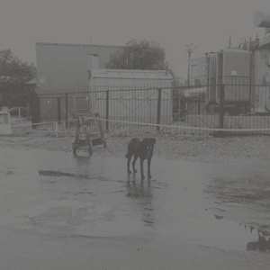 2LP Nivhek: After Its Own Death / Walking In A Spiral Towards The House