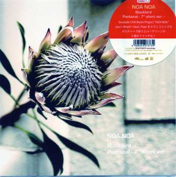 Album Noa Noa: Blackbird / Pantanal(7" short ver.)