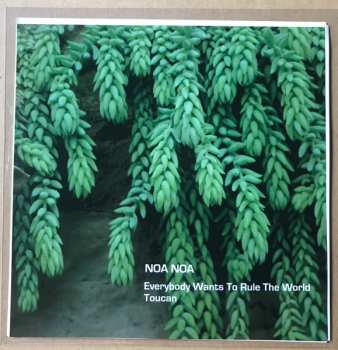 Album Noa Noa: Everybody Wants To Rule The World / Toucan