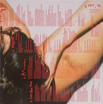 LP Noga Erez: The Vandalist