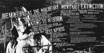 CD Noisear: Subvert The Dominant Paradigm