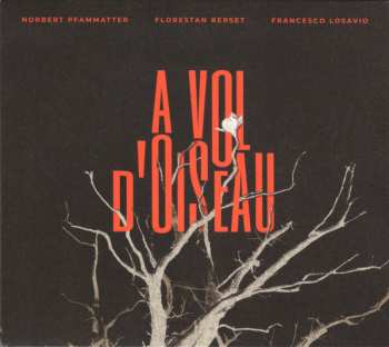 CD Norbert Pfammatter: A Vol D'Oiseau