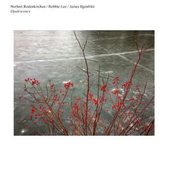 CD Norbert Rodenkirchen: Opalescence
