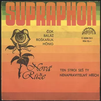 Ten Stroj Seš Ty / Nenapravitelný Hřích