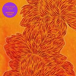 CD Nubiyan Twist: Find Your Flame