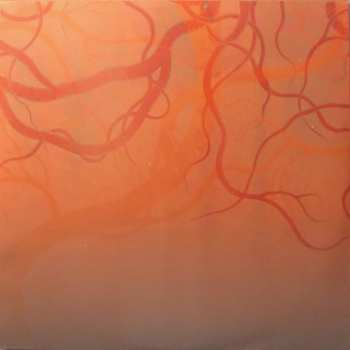 2LP Nubya Garcia: Source