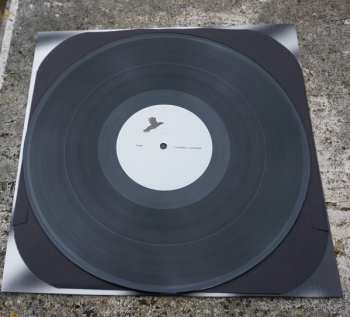 LP N/UM: Ravens
