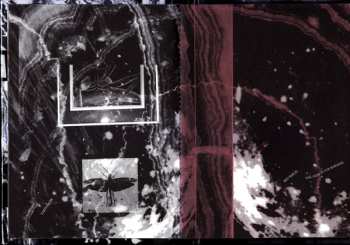 2CD Nurse With Wound: Spiral Insana DLX